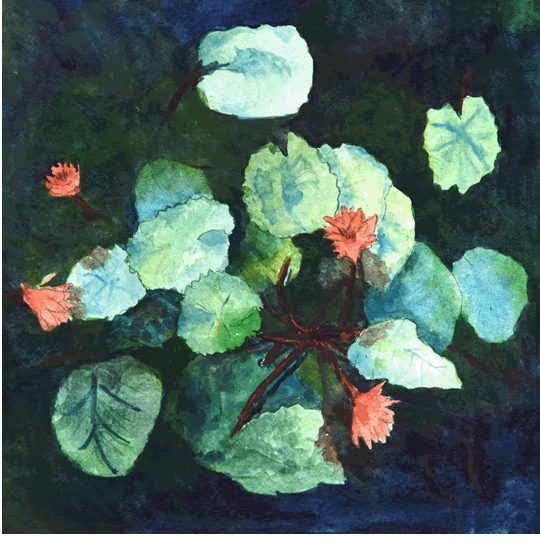 Pink Lilies In Water Watercolor Print - Island Art by Yotigo